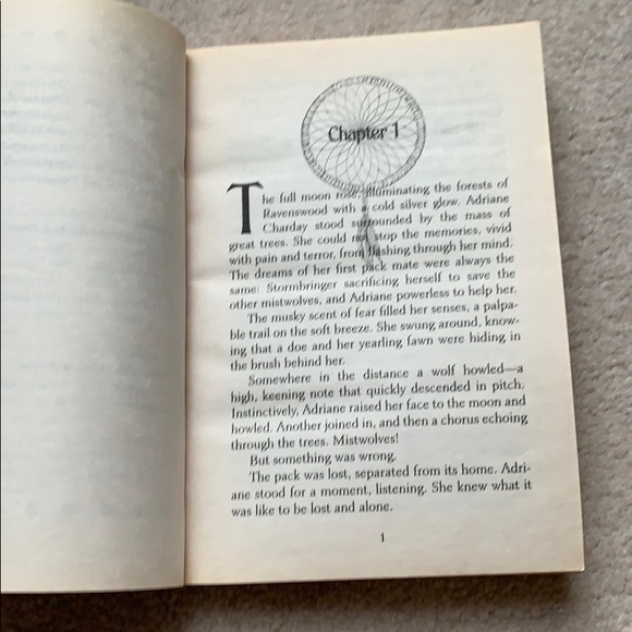 Avalon: Quest for Magic ( Book Series 1-3 ) - Picture 10 of 10